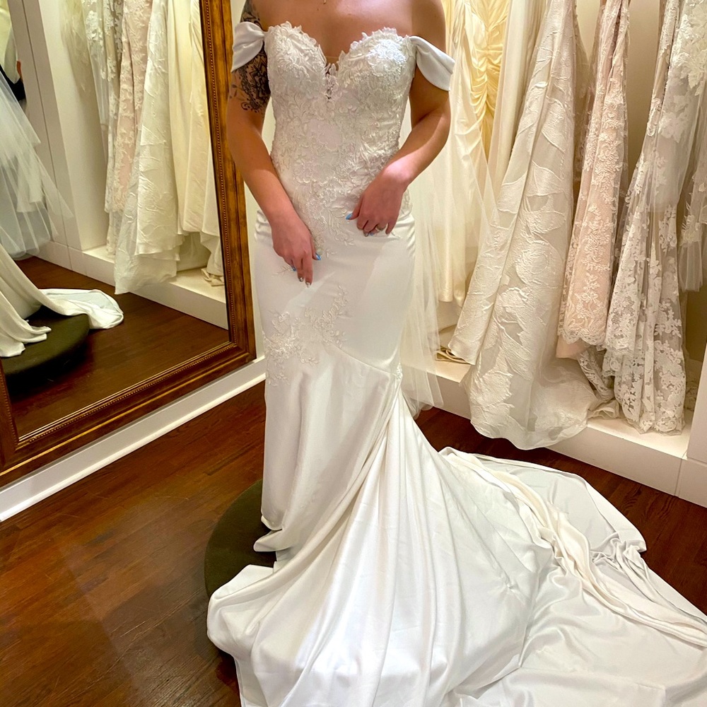 Pronovias Dante Wedding Dress
